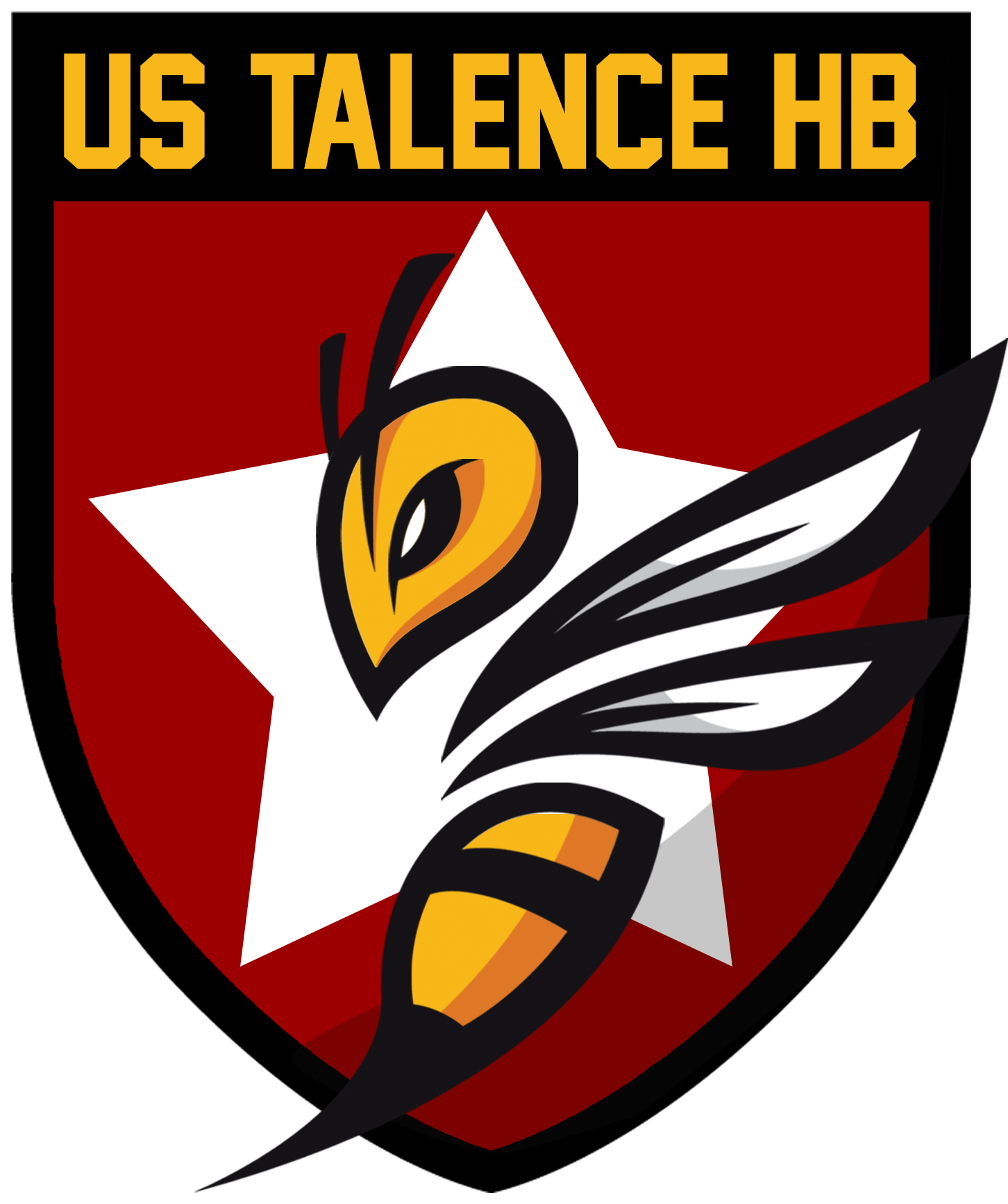 US Talence HandBall
